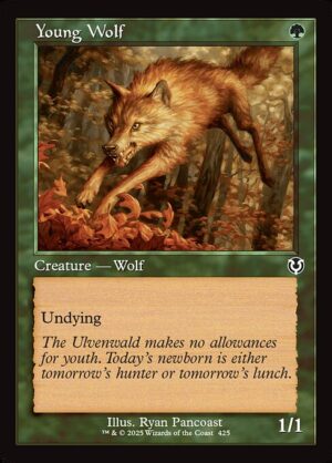 Young Wolf<br /><span class="collector-number">Collector No. </span>