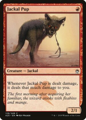 Jackal Pup<br /><span class="collector-number">Collector No. 139</span>