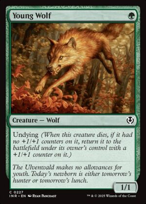 Young Wolf<br /><span class="collector-number">Collector No. </span>