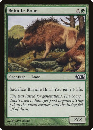Brindle Boar<br /><span class="collector-number">Collector No. 166</span>