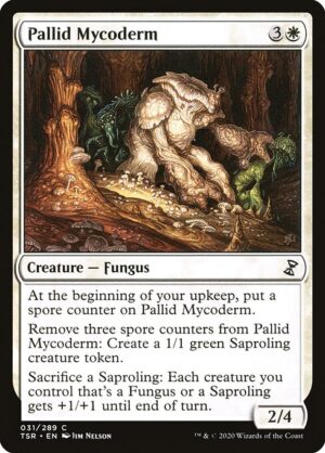 Pallid Mycoderm<br /><span class="collector-number">Collector No. 31</span>