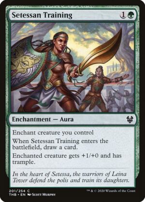 Setessan Training<br /><span class="collector-number">Collector No. 201</span>