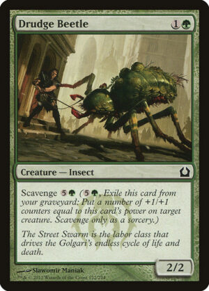 Drudge Beetle<br /><span class="collector-number">Collector No. 122</span>