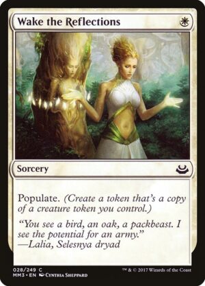 Wake the Reflections<br /><span class="collector-number">Collector No. 28</span>
