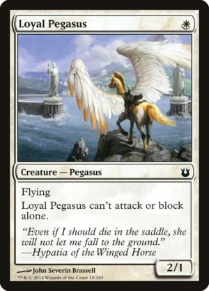 Loyal Pegasus<br /><span class="collector-number">Collector No. 19</span>