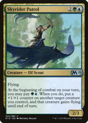 Skyrider Patrol<br /><span class="collector-number">Collector No. 224</span>