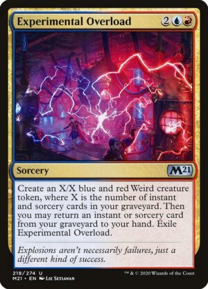 Experimental Overload<br /><span class="collector-number">Collector No. 218</span>