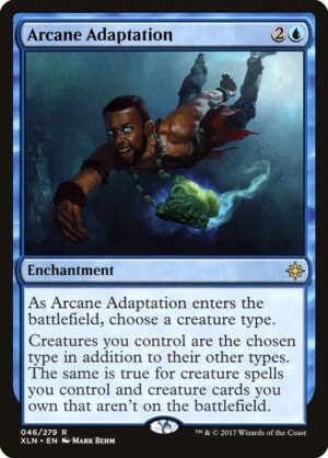 Arcane Adaptation<br /><span class="collector-number">Collector No. 46</span>
