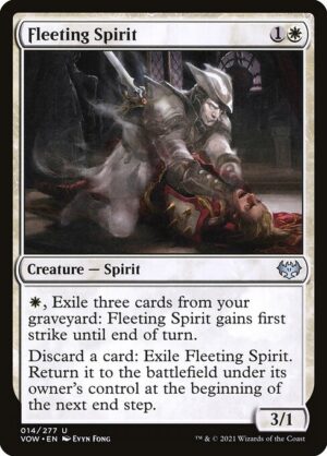Fleeting Spirit<br /><span class="collector-number">Collector No. 14</span>