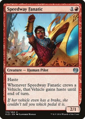 Speedway Fanatic<br /><span class="collector-number">Collector No. 132</span>