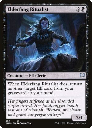 Elderfang Ritualist<br /><span class="collector-number">Collector No. 385</span>