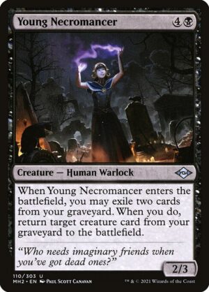 Young Necromancer<br /><span class="collector-number">Collector No. 110</span>