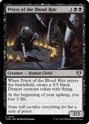 Priest of the Blood Rite - Foil<br /><span class="collector-number">Collector No. 179</span>