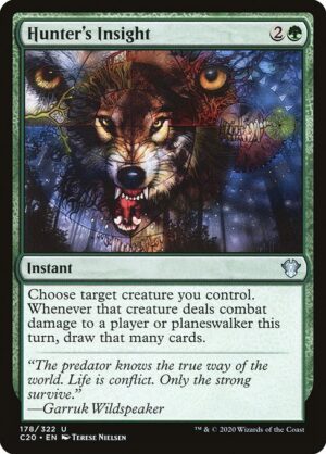 Hunter's Insight<br /><span class="collector-number">Collector No. 178</span>