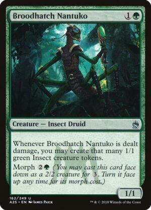 Broodhatch Nantuko<br /><span class="collector-number">Collector No. 162</span>