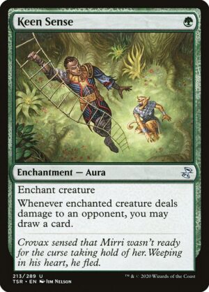 Keen Sense<br /><span class="collector-number">Collector No. 213</span>