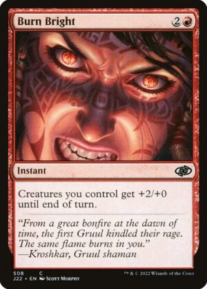 Burn Bright<br /><span class="collector-number">Collector No. 508</span>