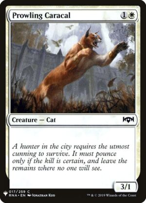 Prowling Caracal<br /><span class="collector-number">Collector No. RNA-17</span>