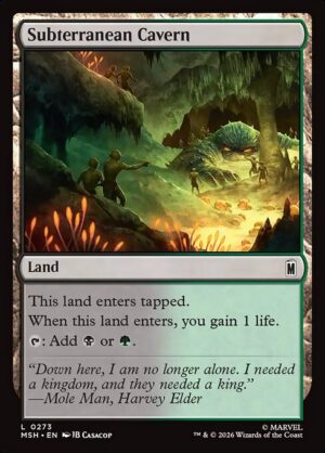 Subterranean Cavern - Foil<br /><span class="collector-number">Collector No. 273</span>
