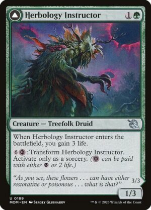 Herbology Instructor // Malady Invoker - Foil<br /><span class="collector-number">Collector No. 189</span>