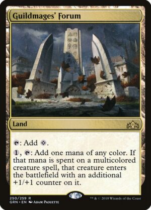 Guildmages' Forum - Foil<br /><span class="collector-number">Collector No. 250</span>