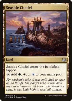 Seaside Citadel - Foil<br /><span class="collector-number">Collector No. 245</span>