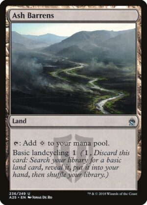 Ash Barrens - Foil<br /><span class="collector-number">Collector No. 236</span>