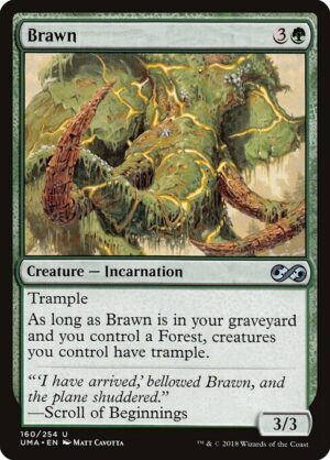 Brawn - Foil<br /><span class="collector-number">Collector No. 160</span>
