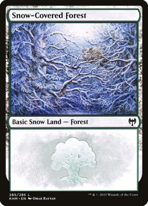 Snow-Covered Forest<br /><span class="collector-number">Collector No. 285</span>