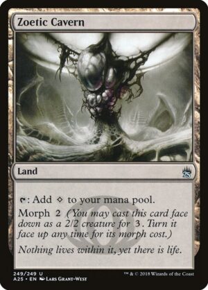 Zoetic Cavern<br /><span class="collector-number">Collector No. 249</span>