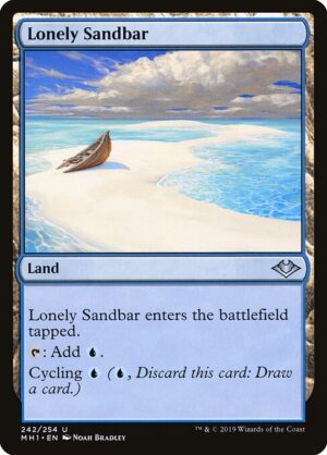 Lonely Sandbar<br /><span class="collector-number">Collector No. 242</span>
