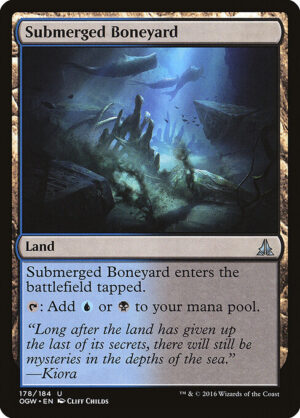 Submerged Boneyard<br /><span class="collector-number">Collector No. 178</span>