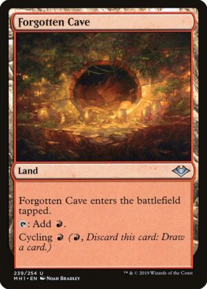 Forgotten Cave<br /><span class="collector-number">Collector No. 239</span>