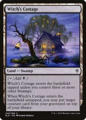 Witch's Cottage - Foil<br /><span class="collector-number">Collector No. 249</span>