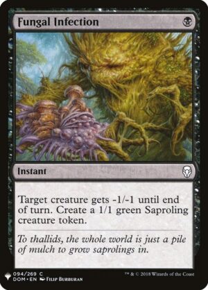 Fungal Infection<br /><span class="collector-number">Collector No. DOM-94</span>